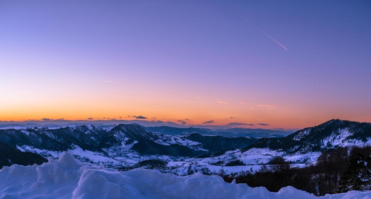 Tajena Zlatibor